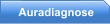 Auradiagnose